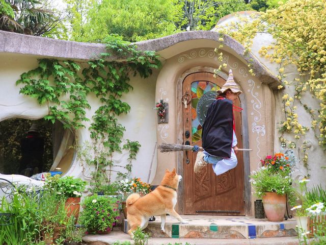 �����݃K�[�f�����g���[�g&�g�[�e���̉Ƃ̎ʐ^1