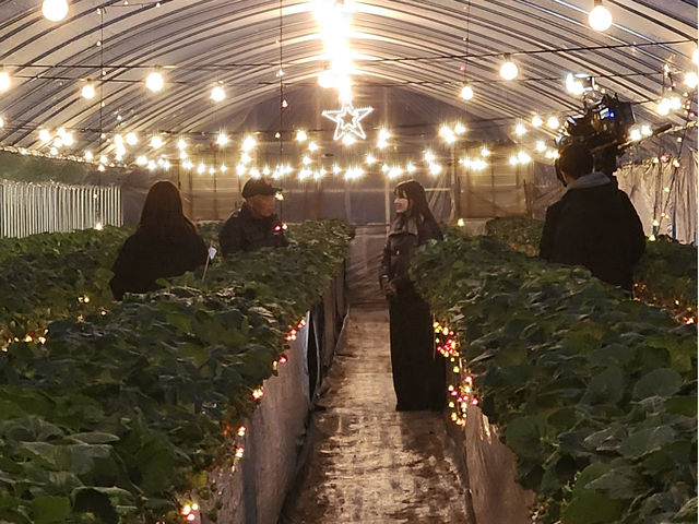 ��̂��������p�[�N