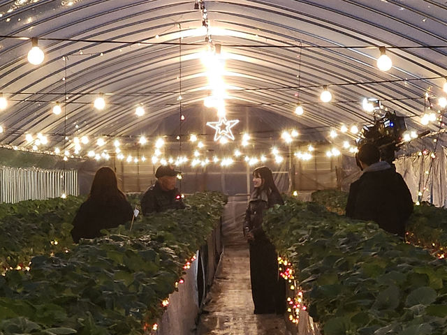 ��̂��������p�[�N