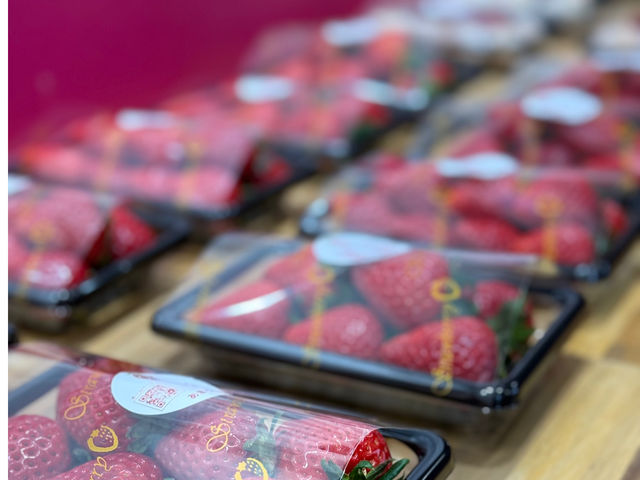 ������_�X�g���x���[�t�@�[��BERRYBERRYBERRY