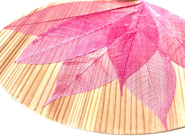 �@�̗t�E������_petite fleur��