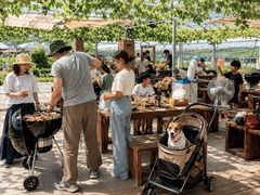FARMER�fS BBQ by the Farm UNIVERSAL�̎ʐ^1