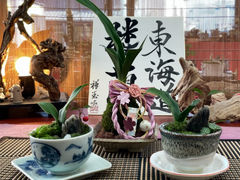 mossloulan楼蘭の写真1