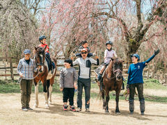 �_�����B���b�W�̎ʐ^1