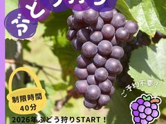 �t���[�c�����h���܂����̎ʐ^1