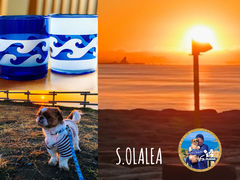 �I�����A������A�[�g�N���t�g�̎ʐ^1