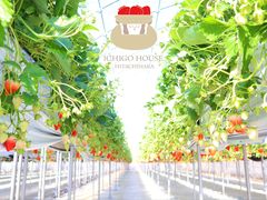 ICHIGOHOUSE HITACHINAKAの写真1