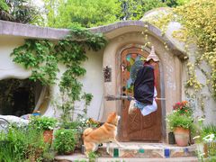 �����݃K�[�f�����g���[�g&�g�[�e���̉Ƃ̎ʐ^1