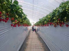 ��̂��������p�[�N�̎ʐ^1