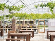FARMER�fS BBQ by the Farm UNIVERSAL�̎ʐ^4