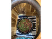 �[�����p�T���� Ciel�̎ʐ^2