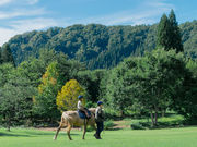 �_�����B���b�W�̎ʐ^4