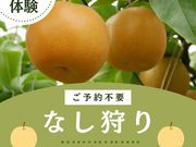 �t���[�c�����h���܂����̎ʐ^2
