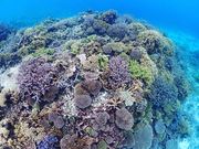 d}T[rX@ZURA-INKAI̎ʐ^2