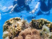 d}T[rX@ZURA-INKAI̎ʐ^3