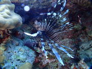 d}T[rX@ZURA-INKAI̎ʐ^4