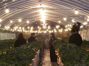 ��̂��������p�[�N�̎ʐ^3