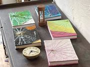 petite fleurʂ̎ʐ^4