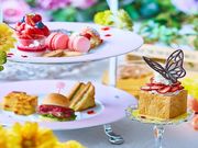 �n�j�g�[�J�t�F �H�t���X�̎ʐ^1