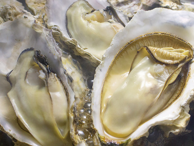 rXgsasaya BYO ̎ʐ^1