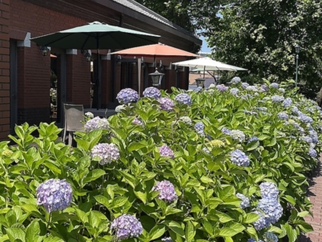 GIROLOMONI cafe di ape W[jJtF fB A[y̎ʐ^1