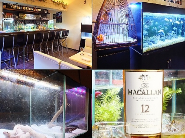 Bar AquaRing�̎ʐ^1