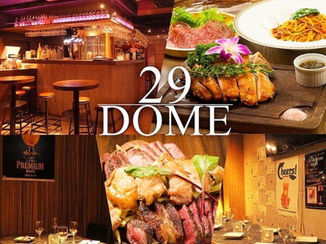 o 29DOME jNh[ X̎ʐ^1