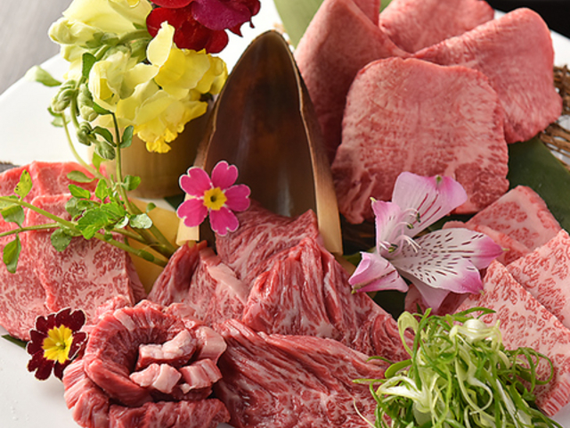 ē Mountain t@Cu̎ʐ^1