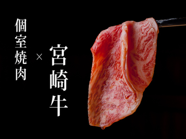 {苍ē ^a ₫ɂ̎ʐ^1