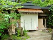 �R�����̎ʐ^1