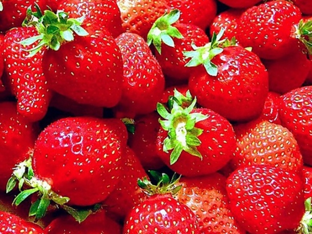 ���낾��� �����X�̎ʐ^1