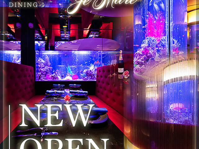 ANAE_CjO JeMare WF}[̎ʐ^1