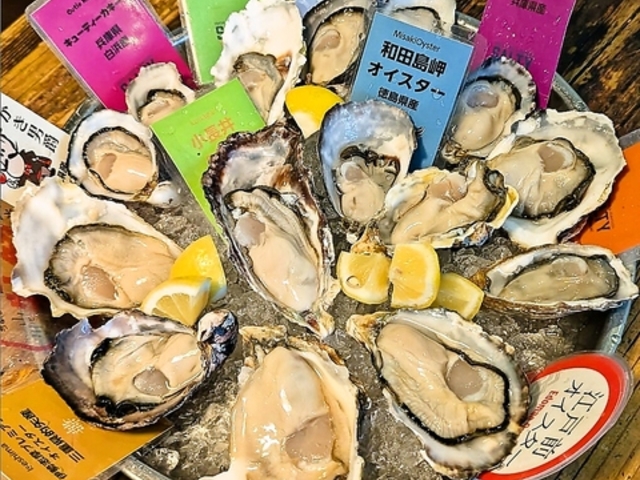 SALTY Oyster House �\���e�B�[�I�C�X�^�[�n�E�X �V����̎ʐ^1