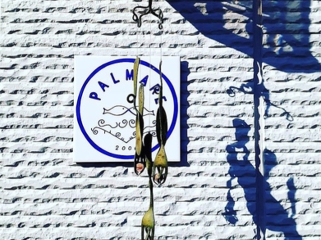 �p���}�[���̎ʐ^1