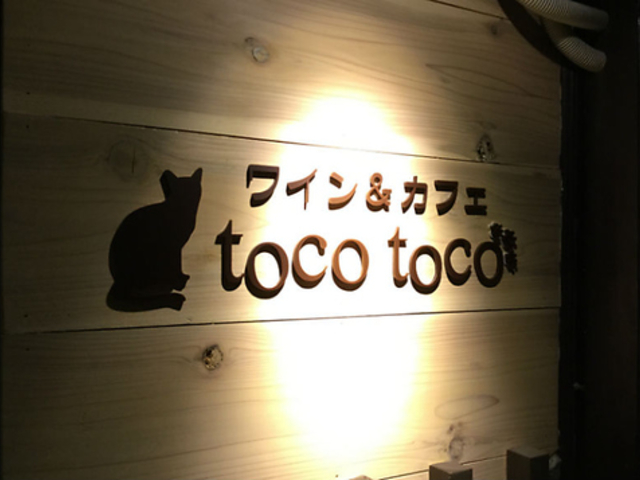 C&JtF toco toco̎ʐ^1