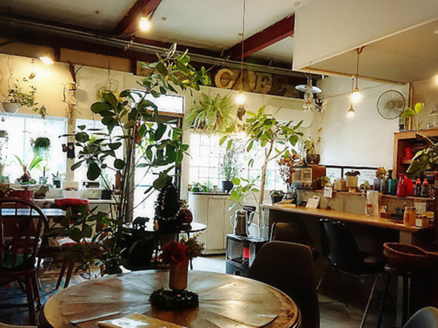plant's cafe�̎ʐ^1