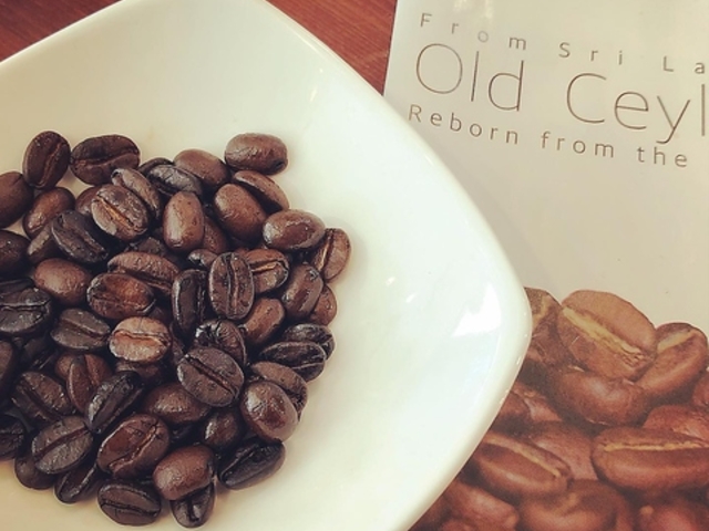 ����������̎ʐ^1