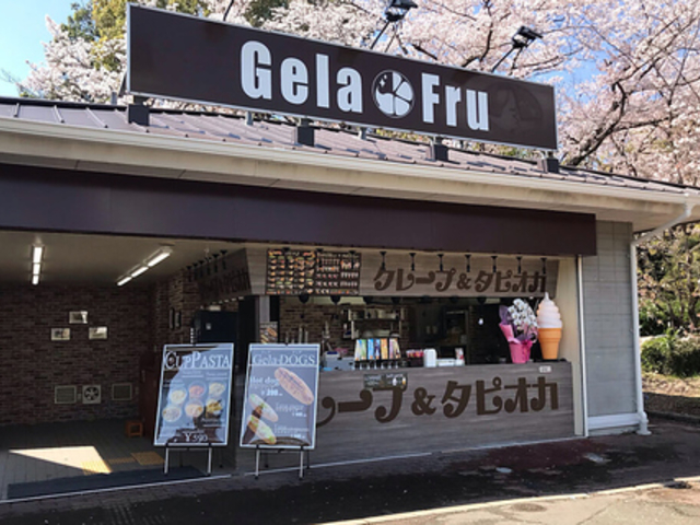 GelaFru WFt LOX̎ʐ^1