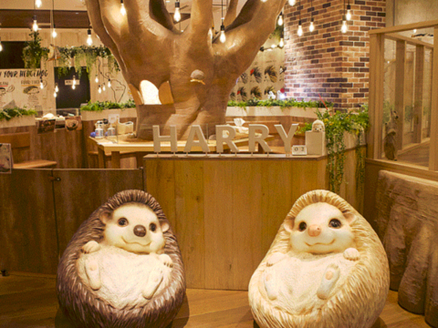 nlY~JtF HARRY l؊XX̎ʐ^1