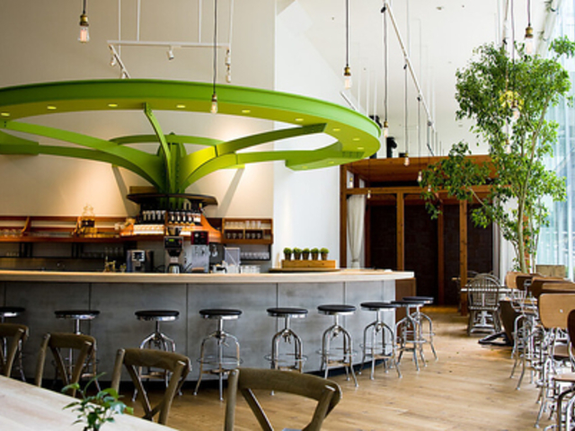 CHAYA Macrobi Shiodome ` }Nr VIh̎ʐ^1