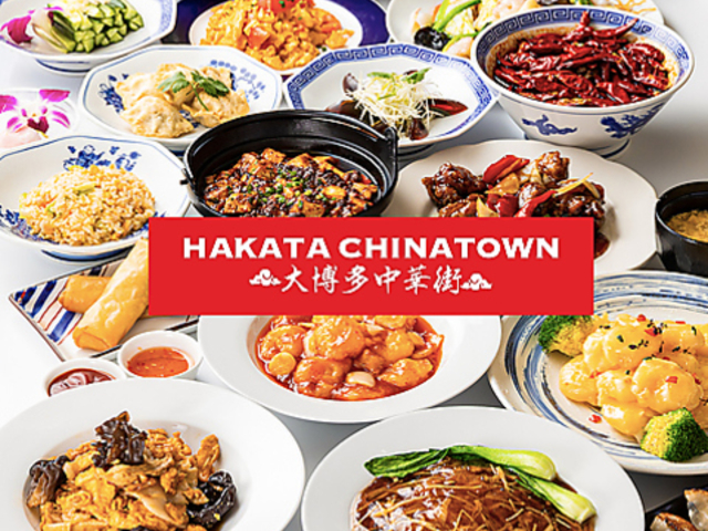 y،~H׈ݕzLq 唎؊X X̎ʐ^1