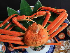 �J�j�J�j�����h�̎ʐ^1