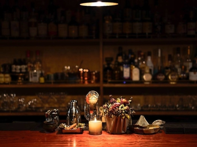 Mimosa Pudica ~UvfBJ̎ʐ^1