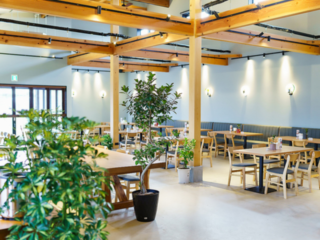 �͂Ȃ̂��t�@�[���̎ʐ^1