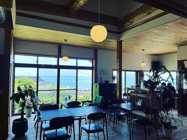 �����p���J�C�R�̎ʐ^1