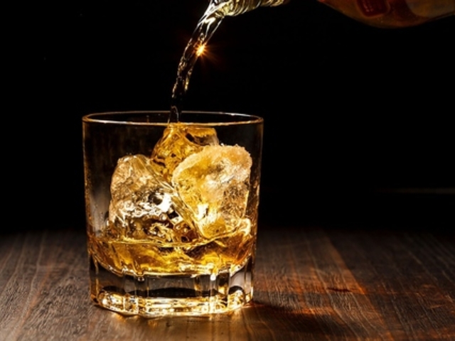 fB[ l̃V[Vo[ Rita̎ʐ^1