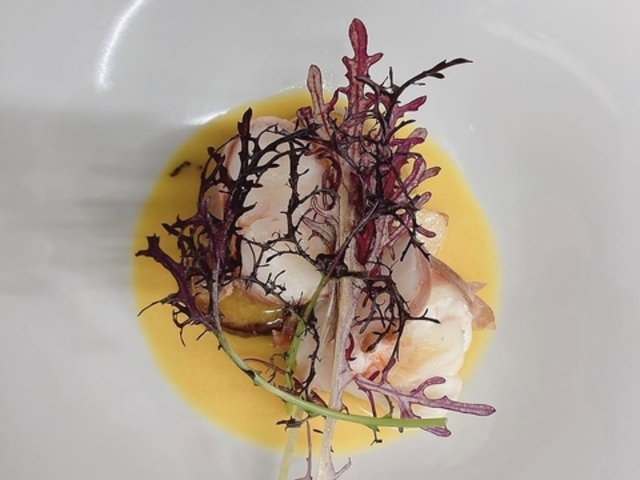 Fonte de Luce �t�H���e�f�B���[�`�F�̎ʐ^1