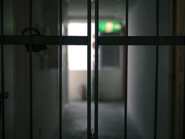 ugo Neck of the Woods ES lbNIuUEbY̎ʐ^1