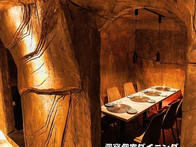 A_CjO HORaANA c{X̎ʐ^1