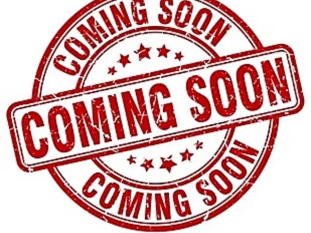 YΏĂ@OH-TORIIi[Ƃ肢jRwOX̎ʐ^1